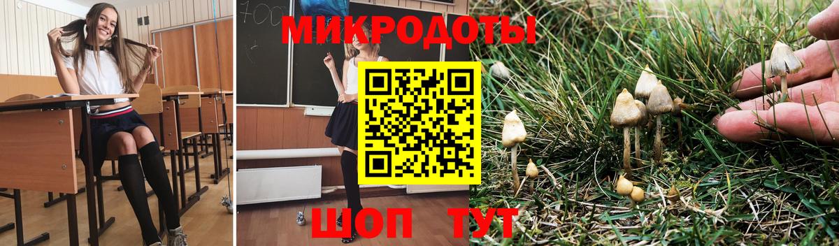 Псилоцибиновые грибы ЛСД Псков