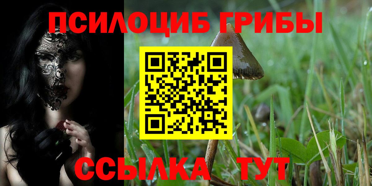 Псков  Галлюциногенные грибы мицелий  Вход с VPN 